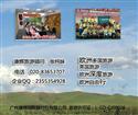 四國(guó)美食之旅-德國(guó)、法國(guó)、瑞士、意大利11天四星團(tuán)